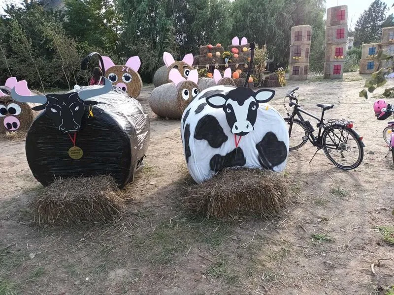 Jak efektownie ubrać kościół na dożynki i zachwycić parafian?