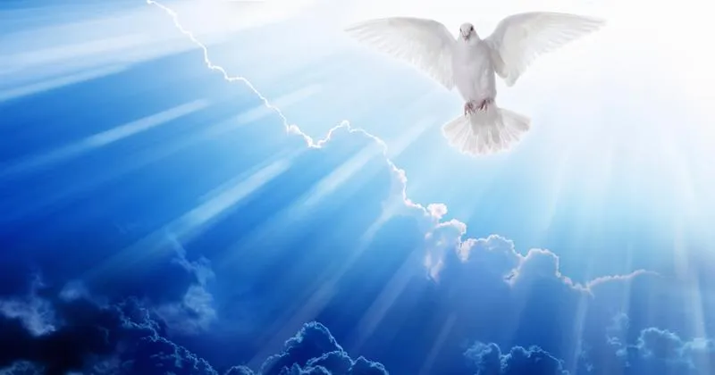 Dary Ducha Świętego