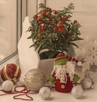 Elegancki prezent świąteczny