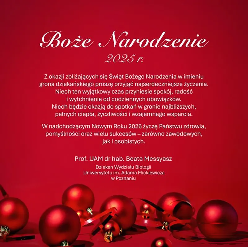 Odliczanie do Bożego Narodzenia