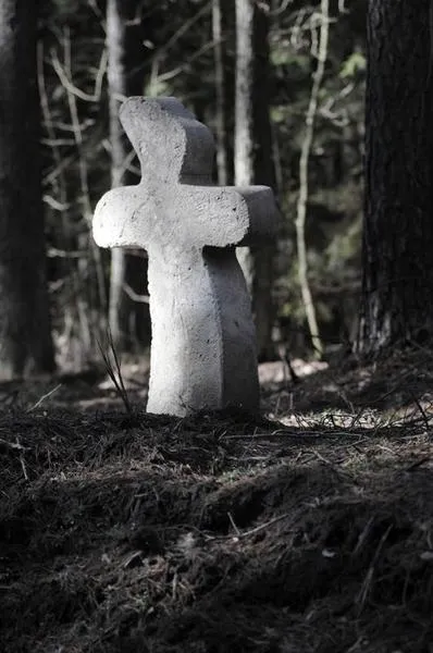 Poszukiwania świętego gaju