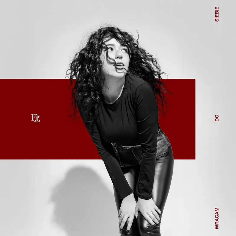 Świąteczne dekoracje domu