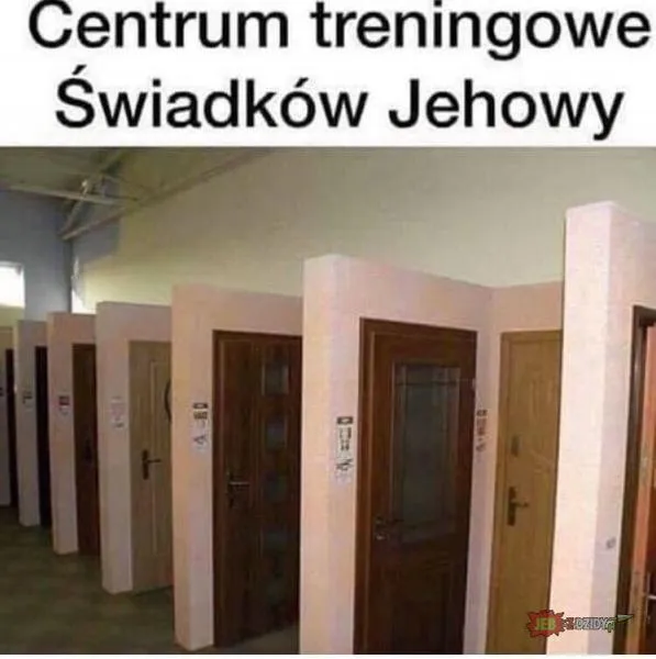 Wpływ kotów na wiarę